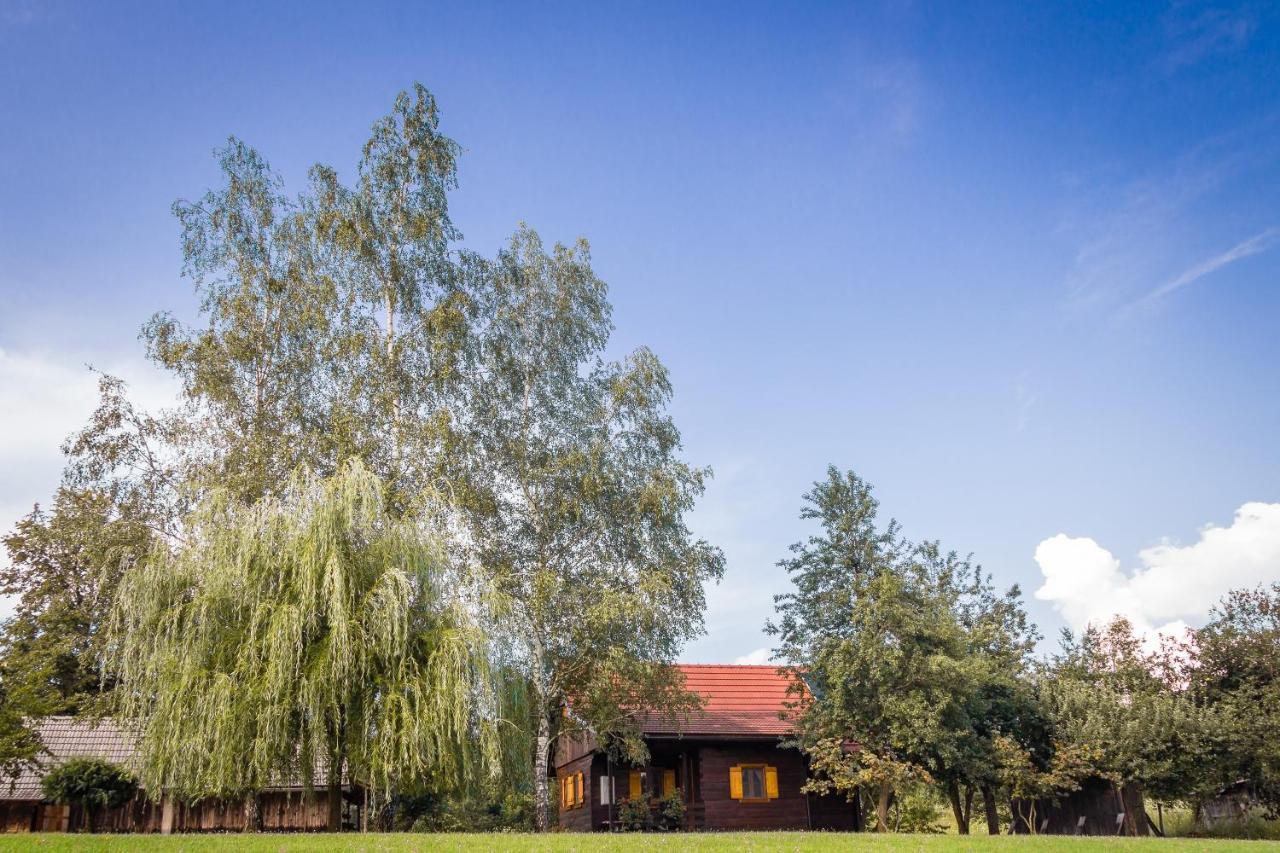 Villa Kuca Za Odmor Cindric Slunj Exterior foto